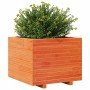 Jardinera madera maciza de pino marrón cera 60x60x49,5 cm en Macetas y jardineras | Comprar online en Foru.es
