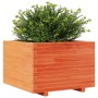 Jardinera madera maciza de pino marrón cera 70x70x49,5 cm en Macetas y jardineras | Comprar online en Foru.es