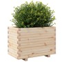 Jardinera madera maciza de pino 70x40x49,5 cm en Macetas y jardineras | Comprar online en Foru.es