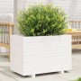 Jardinera madera maciza de pino blanco 70x40x49,5 cm en Macetas y jardineras | Comprar online en Foru.es