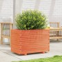 Jardinera madera maciza de pino marrón cera 70x40x49,5 cm en Macetas y jardineras | Comprar online en Foru.es