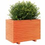 Jardinera madera maciza de pino marrón cera 70x40x49,5 cm en Macetas y jardineras | Comprar online en Foru.es
