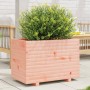 Jardinera madera maciza de abeto Douglas 70x40x49,5 cm en Macetas y jardineras | Comprar online en Foru.es
