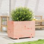 Jardinera madera maciza de abeto Douglas 70x40x49,5 cm en Macetas y jardineras | Comprar online en Foru.es