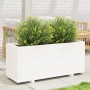 Jardinera madera maciza de pino blanco 110x40x49,5 cm en Macetas y jardineras | Comprar online en Foru.es