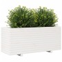 Jardinera madera maciza de pino blanco 110x40x49,5 cm en Macetas y jardineras | Comprar online en Foru.es
