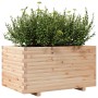 Jardinera madera maciza de pino 90x60x49,5 cm en Macetas y jardineras | Comprar online en Foru.es