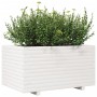 Jardinera madera maciza de pino blanco 90x60x49,5 cm en Macetas y jardineras | Comprar online en Foru.es