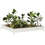 Arriate de acero blanco 100x100x18,5 cm en Macetas y jardineras | Comprar online en Foru.es