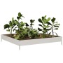 Jardinera de acero inoxidable 100x100x18,5 cm en Macetas y jardineras | Comprar online en Foru.es