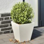 Jardineras 2 unidades acero blanco 30x30x30 cm en Macetas y jardineras | Comprar online en Foru.es