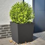Jardineras 2 uds de acero negro 50x50x50 cm en Macetas y jardineras | Comprar online en Foru.es