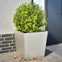 Jardineras 2 uds de acero inoxidable 50x50x50 cm en Macetas y jardineras | Comprar online en Foru.es
