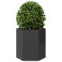Jardinera hexagonal acero negra 46x40x45 cm en Macetas y jardineras | Comprar online en Foru.es
