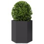 Jardineras hexagonales 2 uds acero negra 46x40x45 cm en Macetas y jardineras | Comprar online en Foru.es