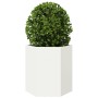 Jardinera hexagonal acero blanco 46x40x45 cm en Macetas y jardineras | Comprar online en Foru.es
