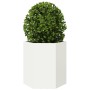 Jardineras hexagonales 2 uds acero blanco 46x40x45 cm en Macetas y jardineras | Comprar online en Foru.es