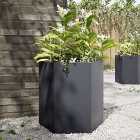 Jardinera hexagonal acero gris antracita 46x40x45 cm en Macetas y jardineras | Comprar online en Foru.es
