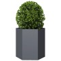 Jardinera hexagonal acero gris antracita 46x40x45 cm en Macetas y jardineras | Comprar online en Foru.es