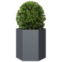Jardineras hexagonales 2 uds acero antracita 46x40x45 cm en Macetas y jardineras | Comprar online en Foru.es
