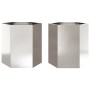 Jardineras hexagonales 2 uds acero inoxidable 46x40x45 cm en Macetas y jardineras | Comprar online en Foru.es