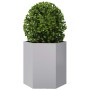 Jardineras hexagonales 2 uds acero inoxidable 46x40x45 cm en Macetas y jardineras | Comprar online en Foru.es