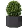 Jardinera hexagonal acero negra 69x60x45 cm en Macetas y jardineras | Comprar online en Foru.es