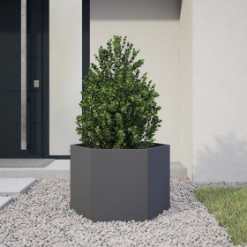 Jardinera hexagonal acero gris antracita 69x60x45 cm en Macetas y jardineras | Comprar online en Foru.es