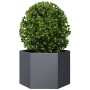 Jardinera hexagonal acero gris antracita 69x60x45 cm en Macetas y jardineras | Comprar online en Foru.es