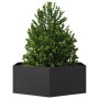 Jardinera hexagonal acero negra 138x120x45 cm en Macetas y jardineras | Comprar online en Foru.es