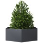 Jardinera hexagonal acero gris antracita 138x120x45 cm en Macetas y jardineras | Comprar online en Foru.es