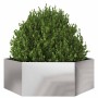 Jardinera hexagonal de acero inoxidable 138x120x45 cm en Macetas y jardineras | Comprar online en Foru.es
