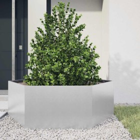 Jardinera hexagonal acero galvanizado 138x120x45 cm en Macetas y jardineras | Comprar online en Foru.es