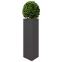 Jardinera triangular acero negro 30x26x75 cm en Macetas y jardineras | Comprar online en Foru.es