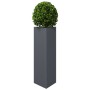 Jardinera triangular acero gris antracita 30x26x75 cm en Macetas y jardineras | Comprar online en Foru.es
