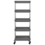 Carrito de cocina 5 niveles hierro y ABS gris 42x29x128 cm de vidaXL, Carros de cocina y comedor - Ref: Foro24-336333, Precio...