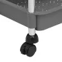 Carrito de cocina 5 niveles hierro y ABS gris 42x29x128 cm de vidaXL, Carros de cocina y comedor - Ref: Foro24-336333, Precio...