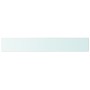 Estantes 2 unidades panel de vidrio transparente 100x15 cm de vidaXL, Estantes y estanterías - Ref: Foro24-3051583, Precio: 3...