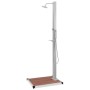 Ducha de jardín con plato acero inoxidable WPC de vidaXL, Accesorios para piscinas y spa - Ref: Foro24-3051285, Precio: 255,8...