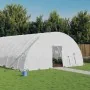 Invernadero con estructura de acero blanco 144 m² 24x6x2,85 m de vidaXL, Invernaderos - Ref: Foro24-3188126, Precio: 1,00 €, ...