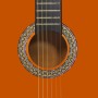 Guitarra clásica para principiantes con funda 4/4 39" de vidaXL, Guitarras - Ref: Foro24-3055601, Precio: 96,15 €, Descuento: %