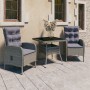 Muebles de jardín 3 piezas ratán sintético y vidrio gris de vidaXL, Conjuntos de jardín - Ref: Foro24-3058522, Precio: 358,87...
