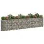 Arriate de gaviones de hierro galvanizado 470x50x100 cm de vidaXL, Maceteros y jardineras - Ref: Foro24-152037, Precio: 153,2...