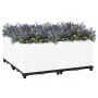 Arriate polipropileno 80x80x38 cm de vidaXL, Maceteros y jardineras - Ref: Foro24-153318, Precio: 68,18 €, Descuento: %
