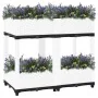 Arriate polipropileno 80x40x71 cm de vidaXL, Maceteros y jardineras - Ref: Foro24-153313, Precio: 61,84 €, Descuento: %