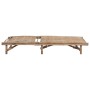 Tumbona de jardín con cojín bambú de vidaXL, Tumbonas - Ref: Foro24-3061639, Precio: 191,71 €, Descuento: %