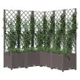 Jardinera con enrejado PP marrón 120x120x136 cm de vidaXL, Maceteros y jardineras - Ref: Foro24-318267, Precio: 212,08 €, Des...