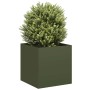 Jardinera de acero laminado en frío verde oliva 40x40x40 cm en Macetas y jardineras | Comprar online en Foru.es