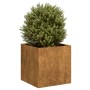 Jardinera oxidada 40x40x40 cm acero corten en Macetas y jardineras | Comprar online en Foru.es