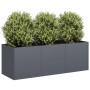 Jardinera antracita 120x40x40 cm acero laminado en frío en Macetas y jardineras | Comprar online en Foru.es